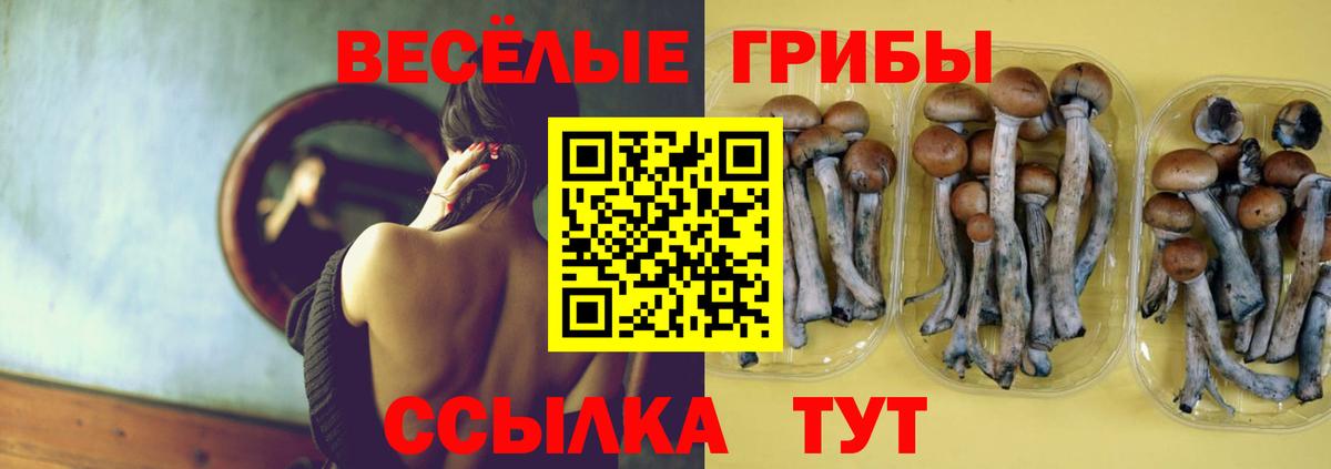 Псилоцибиновые грибы Magic Shrooms Железноводск